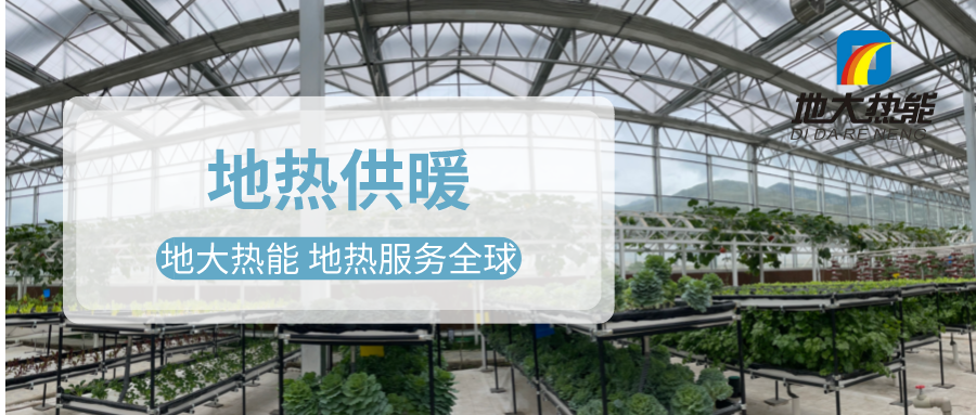 發揮地熱資源優勢，地熱農業實現花卉產業特色發展 | 地大熱能 地熱服務全球